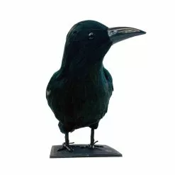 Other Black Feathered Raven Prop
