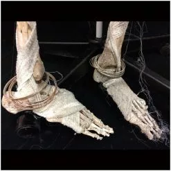 Mad About Horror Deluxe Egyptian Pharaoh Skeleton *SALE* 9 Mad About Horror Deluxe Egyptian Pharaoh Skeleton *SALE* -Halloween Gear Sales deluxe egyptian pharaoh skeleton 4