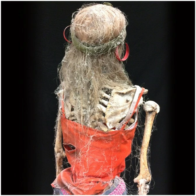 Other Deluxe Skeleton Prop Barbara 2 Other Deluxe Skeleton Prop Barbara - Image 2
