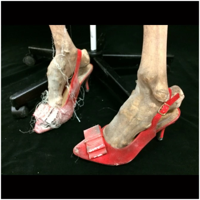 Other Deluxe Skeleton Prop Barbara 4 Other Deluxe Skeleton Prop Barbara - Image 4