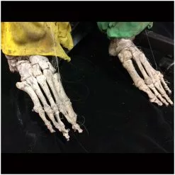 Mad About Horror Deluxe Skeleton Clown Prop Pongo 9 Mad About Horror Deluxe Skeleton Clown Prop Pongo -Halloween Gear Sales deluxe skeleton prop pongo 4