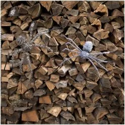 Other Hairy Giant Spider 127cm