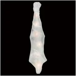 Other Skeleton In Spider Cocoon