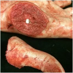 Mad About Horror Silicone Arm With Magnetic Thumb -Halloween Gear Sales magnetic arm with thumb 3