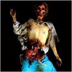 Other Life Size Body Decomposition