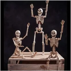 Other Posable Mini Skeleton 35cm