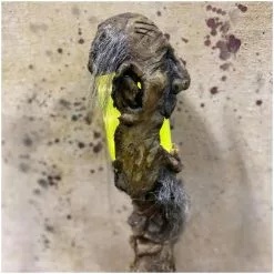 Pumpkin Pulp Shrunken Head Swamp Stick -Halloween Gear Sales pumpkin pulp swamp stick shrunken head 3
