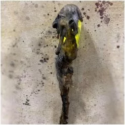 Pumpkin Pulp Shrunken Head Swamp Stick -Halloween Gear Sales pumpkin pulp swamp stick shrunken head 4