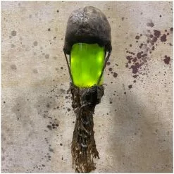 Pumpkin Pulp Skull Swamp Stick 10 Pumpkin Pulp Skull Swamp Stick -Halloween Gear Sales pumpkin pulp swamp stick skull 5