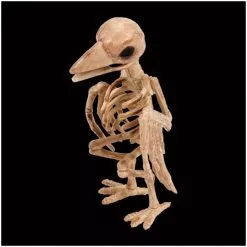 Other Skeleton Crow