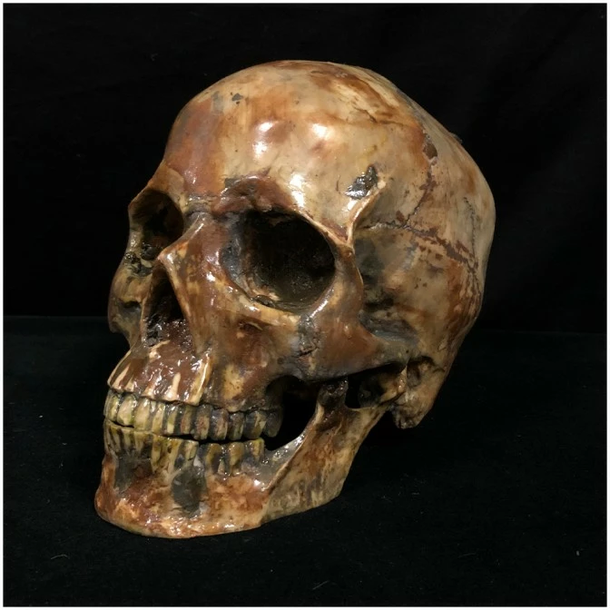 Other Deluxe Resin Skull 1 Other Deluxe Resin Skull