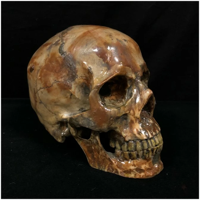 Other Deluxe Resin Skull 2 Other Deluxe Resin Skull - Image 2