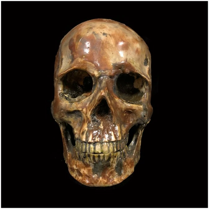 Other Deluxe Resin Skull 3 Other Deluxe Resin Skull - Image 3