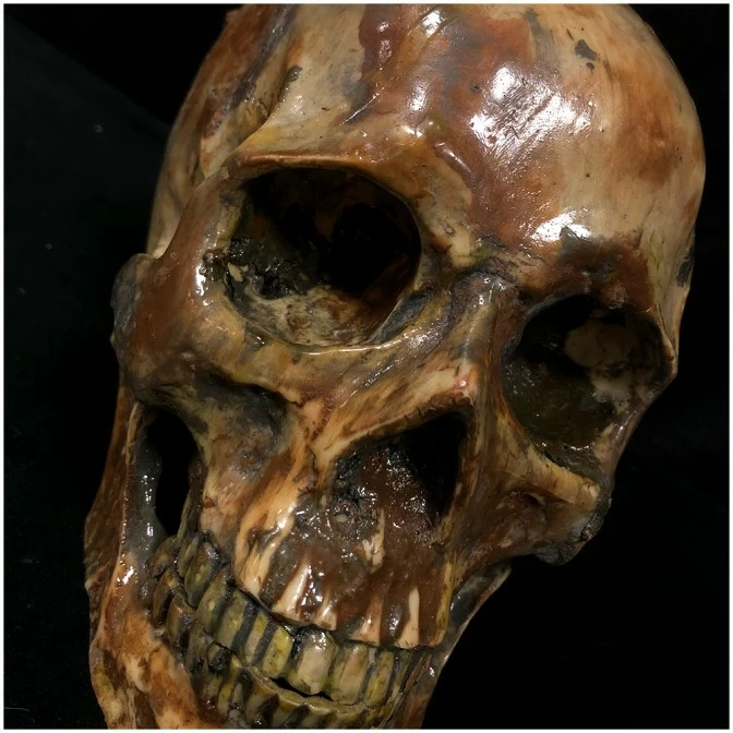 Other Deluxe Resin Skull 4 Other Deluxe Resin Skull - Image 4