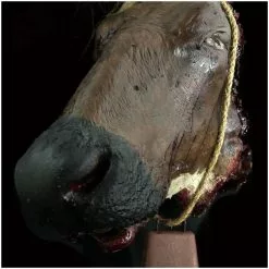 Pumpkin Pulp Severed Cow Head Brown -Halloween Gear Sales severed cow head brown 6