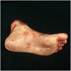 Mad About Horror Silicone Severed Foot (One) -Halloween Gear Sales severed foot silicone left 3