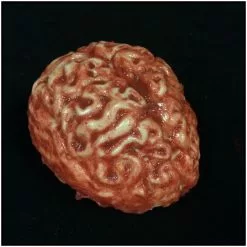 Mad About Horror Silicone Brain