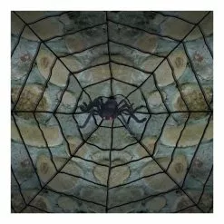 Other Giant Spider Web With Spider