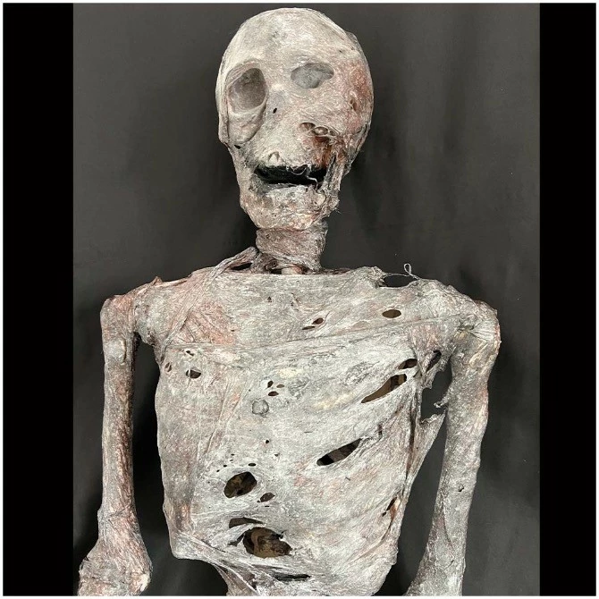 Other Corpsed Life Size Skeleton 1 Other Corpsed Life Size Skeleton