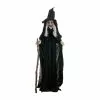 Other Witch With Cane Animated Prop