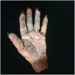 Mad About Horror Silicone Severed Witch Hand (One) -Halloween Gear Sales witch hand 3